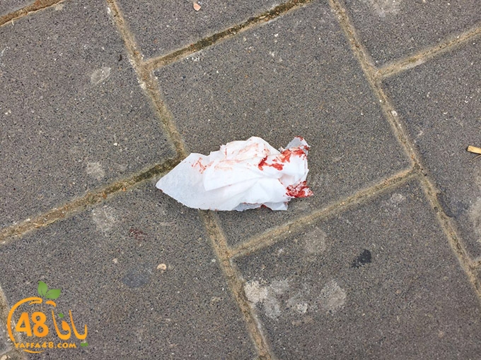 ta3n shamela (6).jpg